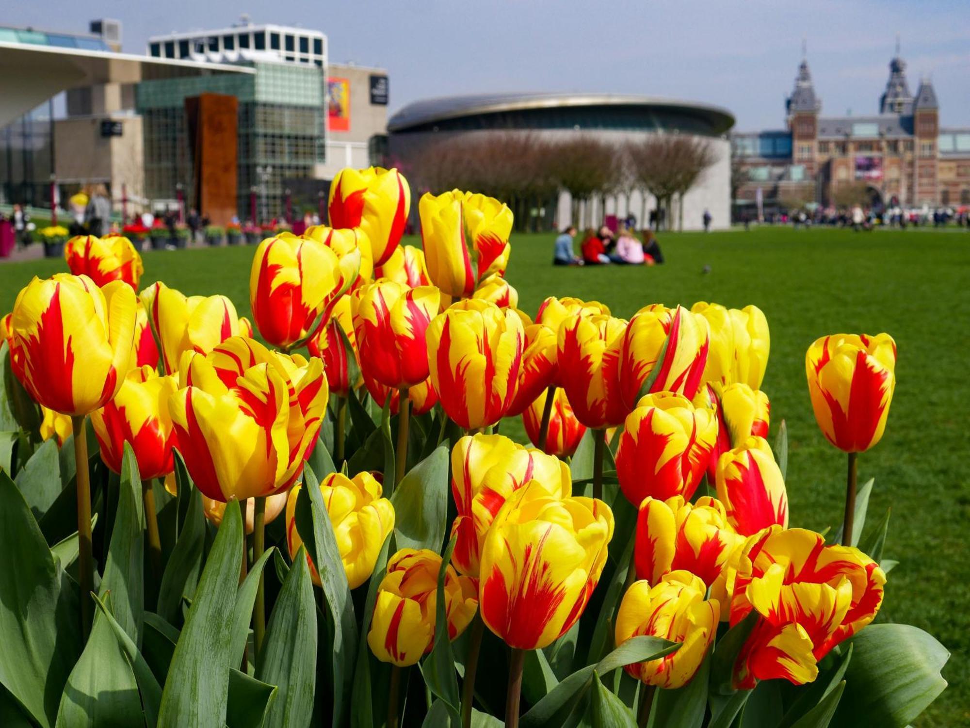 Hotel De Hallen Amsterdam Dış mekan fotoğraf